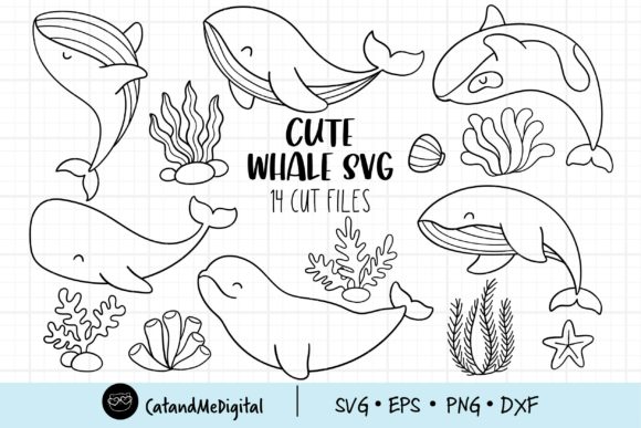 Download Cute Whale Svg - Svg Collection