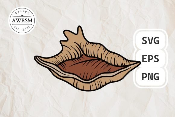 Download Clamshell SVG Vector, Seashell Clipart - Svg Collection