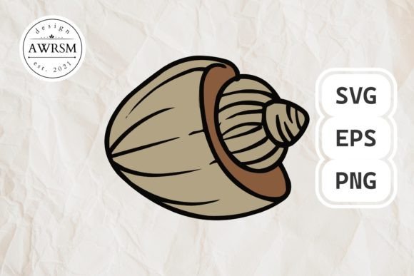 Download Clamshell SVG Vector, Seashell Clipart - Svg Collection