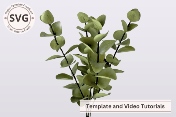 Download Realistic Paper Eucalyptus Leaves SVG - Svg Collection