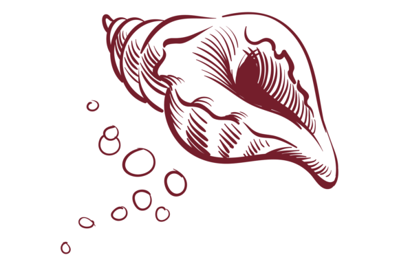 Download Seashell Sketch. Ink Line Style Mollusk - Sketch Collection