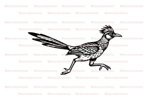 Download Roadrunner SVG - Svg Collection