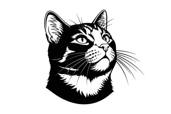Download Cat Head SVG Vintage Engraving Feline - Svg Collection