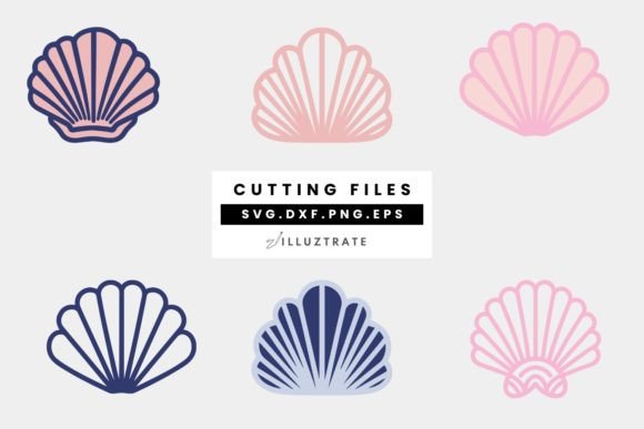 Download SeaShell SVG Cut File | Shell Cutting Fi - Svg Collection